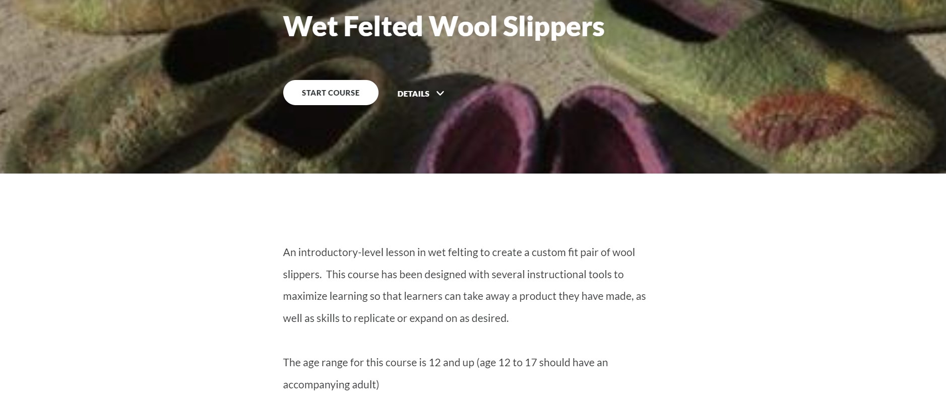 Articulate Course Header