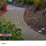 Webpage Cover