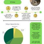 Happy Kitty Handbook - Whiskey Focus
